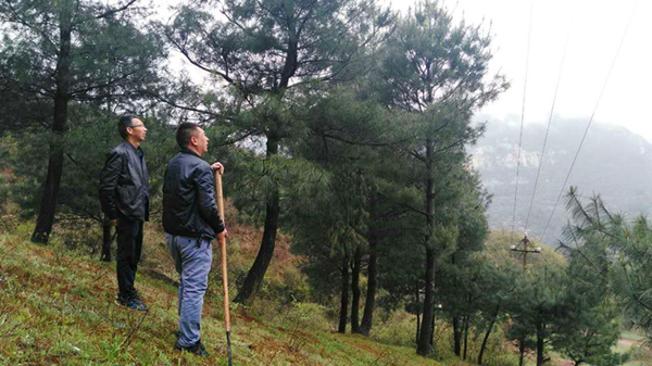 1491987683988252.jpg mmexport1491899050134_副本.jpg