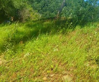 柳關(guān)欒盧鉛鋅礦|治理排土“瘡疤”，繪就綠色畫卷
